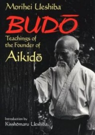 The Essence of Aikido