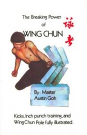 THE BREAKING POWER OF WING CHUN