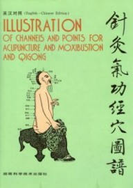 ILLUSTRATION channels/points for accupuncture/moxibustion/qigong