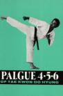 PALGUE 4.5.6 OF TAE KWON DO HYUNG