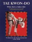 TAE KWON-DO.WHITE BELT TO YELLOW BELT